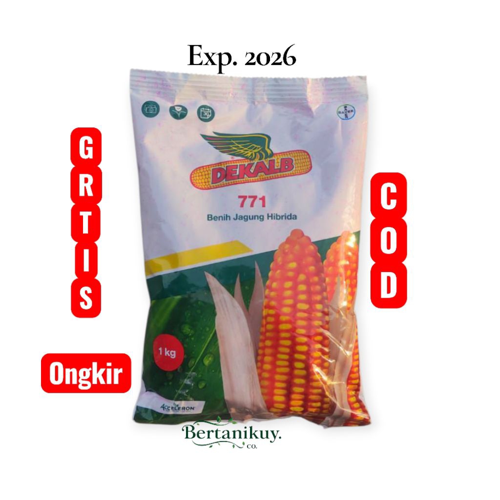 Benih jagung Dekalb 771 kemasan 1kg