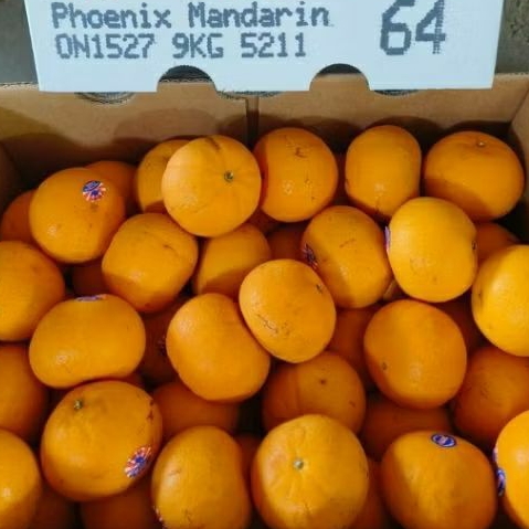 jeruk murcot Australia per dus 9kg