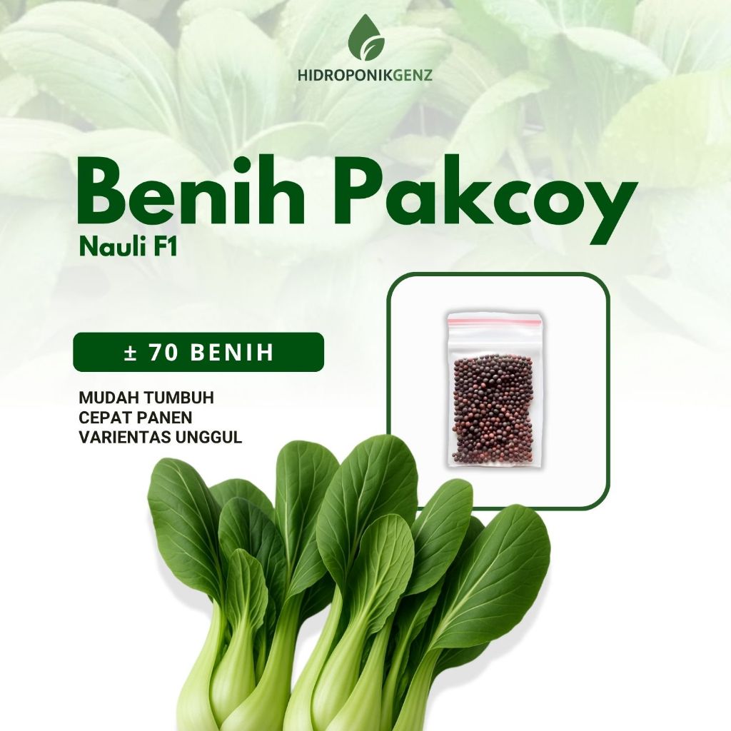 Benih sawi pakcoy unggul |  Benih sawi pakcoy nauli f1 |  benih sawi pakcoy panah merah - 70 benih