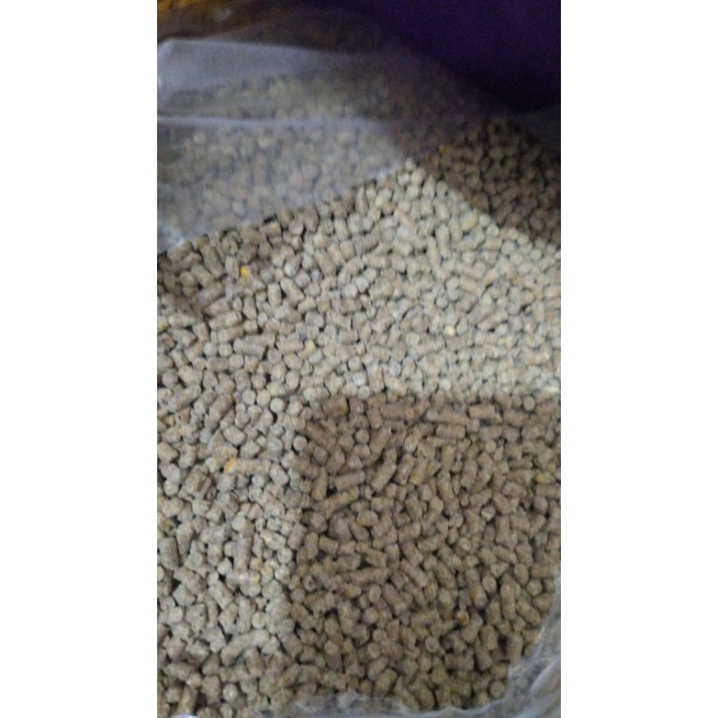 Pur ayam Br 12 kasar,Pur ayam pedaging