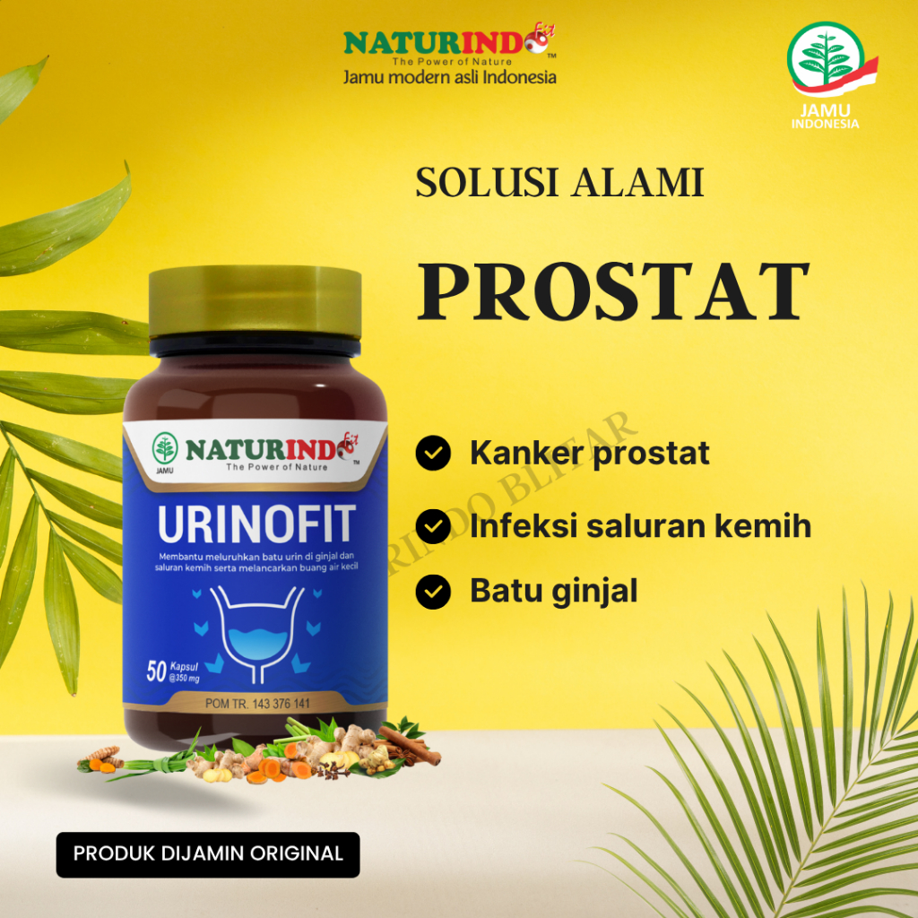 Obat Prostat Herbal Tanpa Operasi Infeksi Saluran Kemih Kanker Prostat Paling Ampuh Pembengkakan Pro