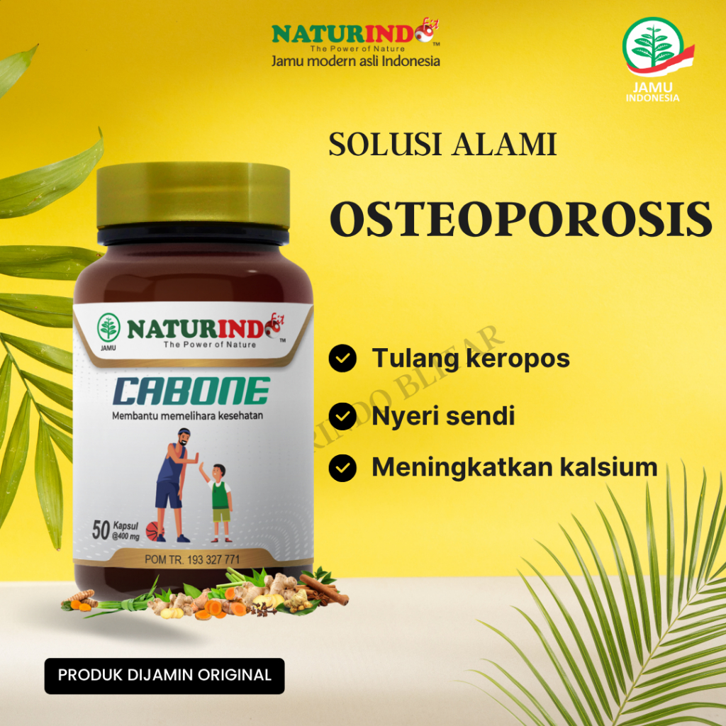 Obat Herbal Osteoporosis Pengeroposan Tulang Cabone Naturindo