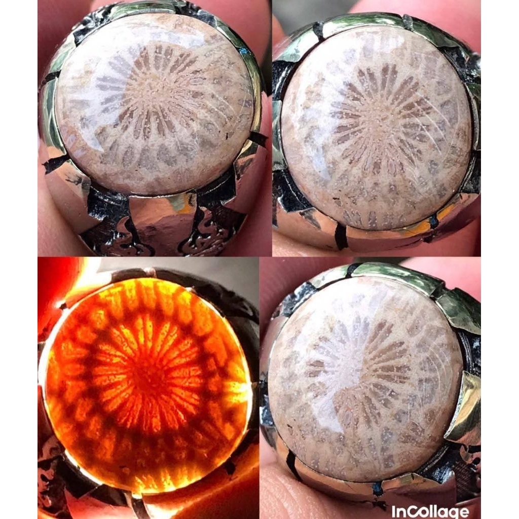 AKIK TERATAI KEMBANG TUNGGAL