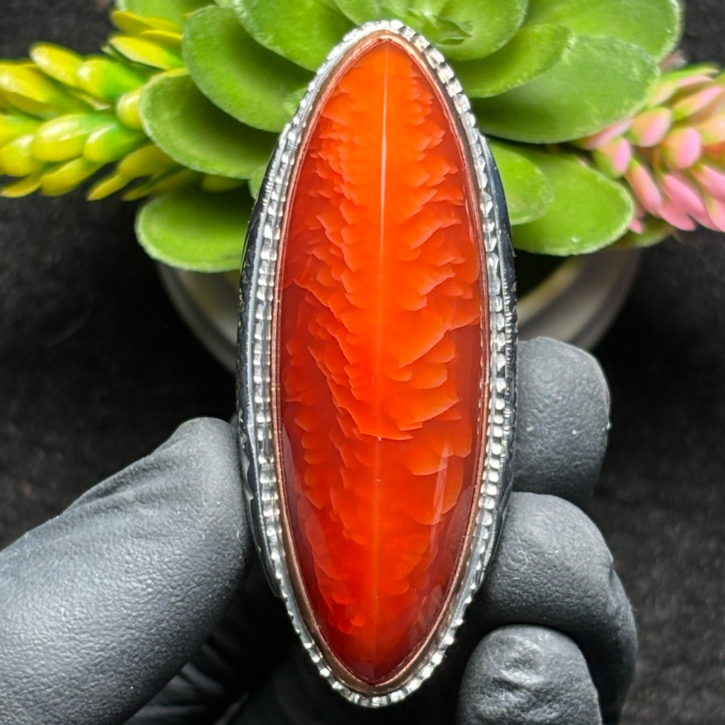 Batu Pandan Merah Rudal Sisik Betok – Pesona Merah Menyala, Langka & Berkarakter Eksklusif