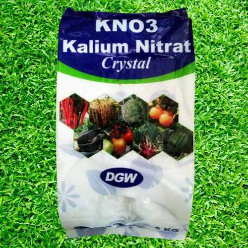 Pupuk KNO3