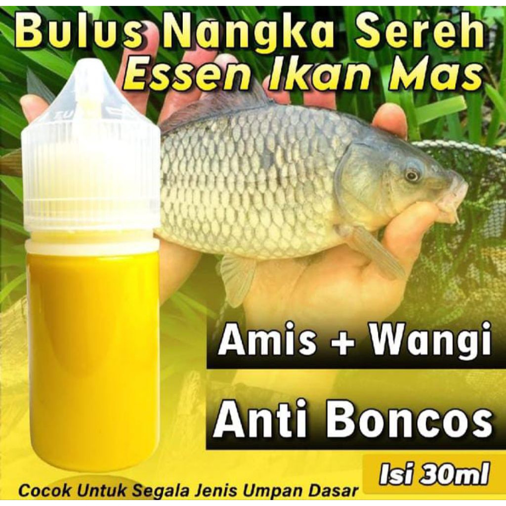 Essen Oplosan Aroma Bolu Nangka Sereh Paling Bagus Buat Mancing Ikan Mas Harian Dan Lomba Galatama I