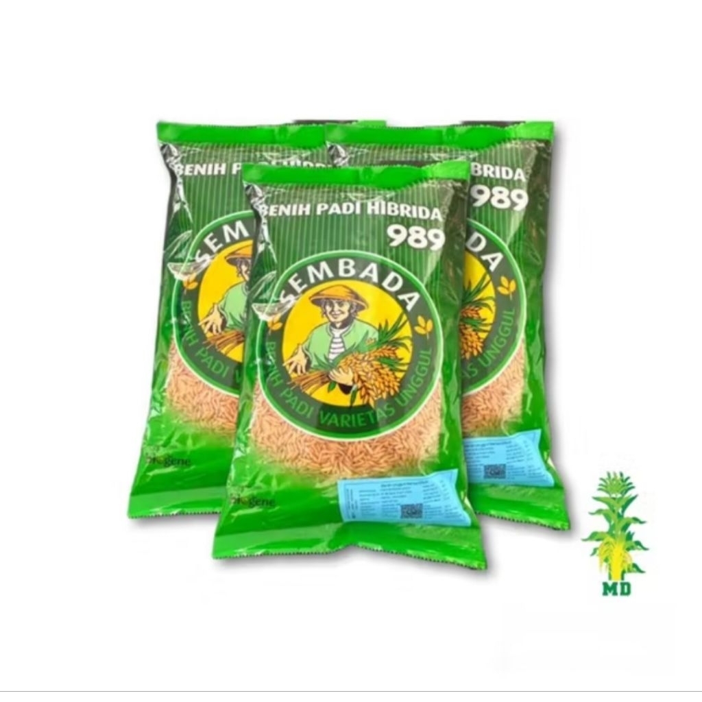 (1kg) BENIH BIBIT PADI HIBRIDA SEMBADA 989 ORIGINAL100% SUPER BERKUALITAS