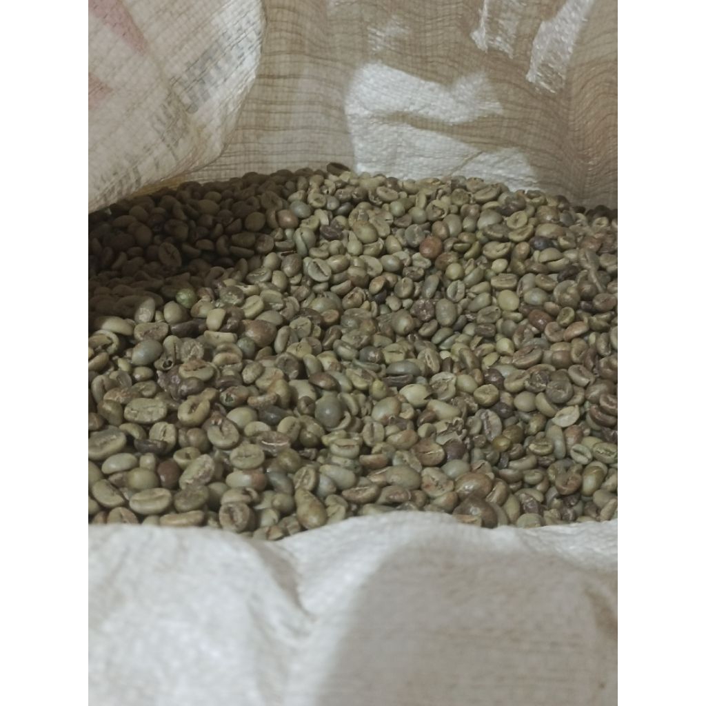 greenbean(biji kopi mentah) robusta/temanggung