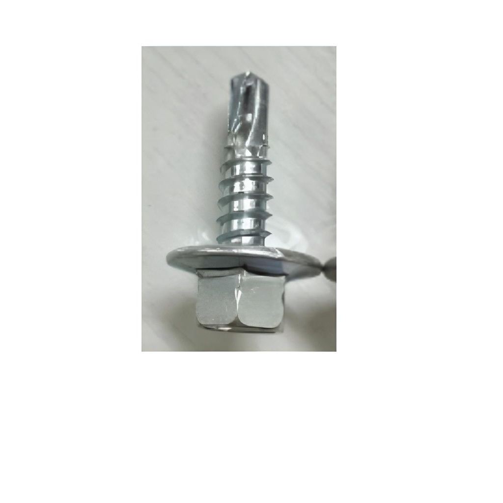 TASO SCREW HEX-SDS #15-14X20