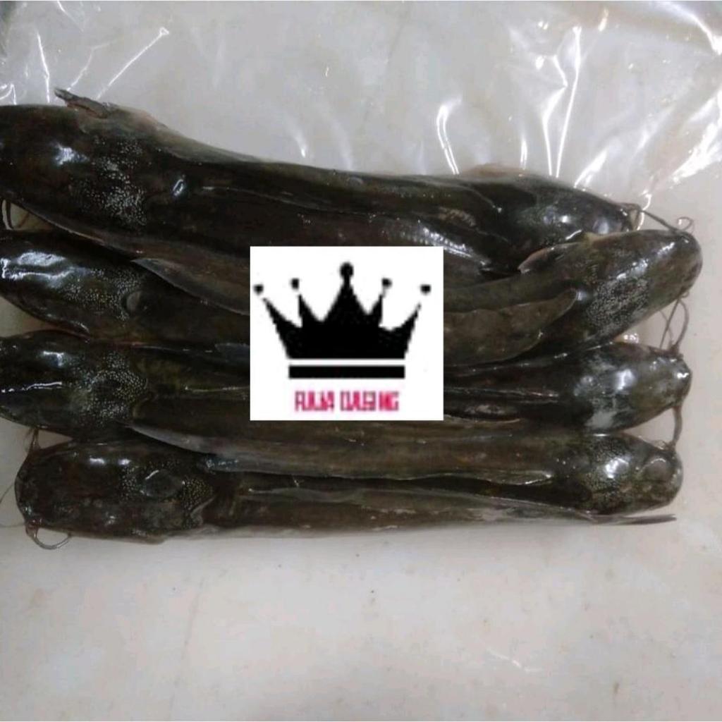 Ikan Lele Fillet Frozen @1kg