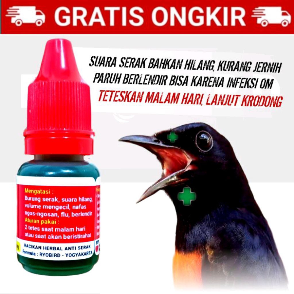 RYO SUPER GURAH Obat Burung Serak Infeksi Saluran Pernafasan Obat Khusus Burung Murai