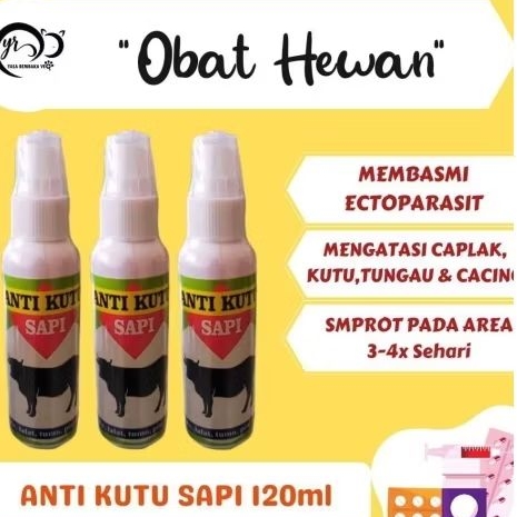 Kutu sapi spray,Ampuh basmi kutu pinjal tunggau caplak pada sapi