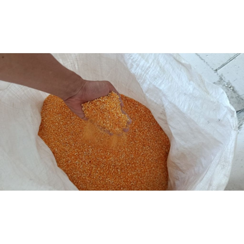 Beras Jagung | Beras diet | Beras pecah halus beras original