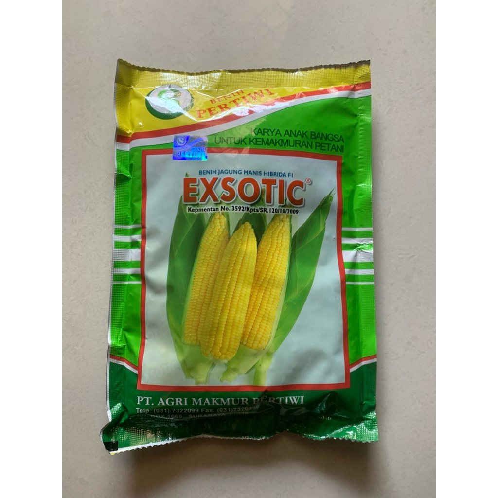 Benih jagung manis EXSOTIC pertiwi F1 jagung manis exotic hibrida  250 gram