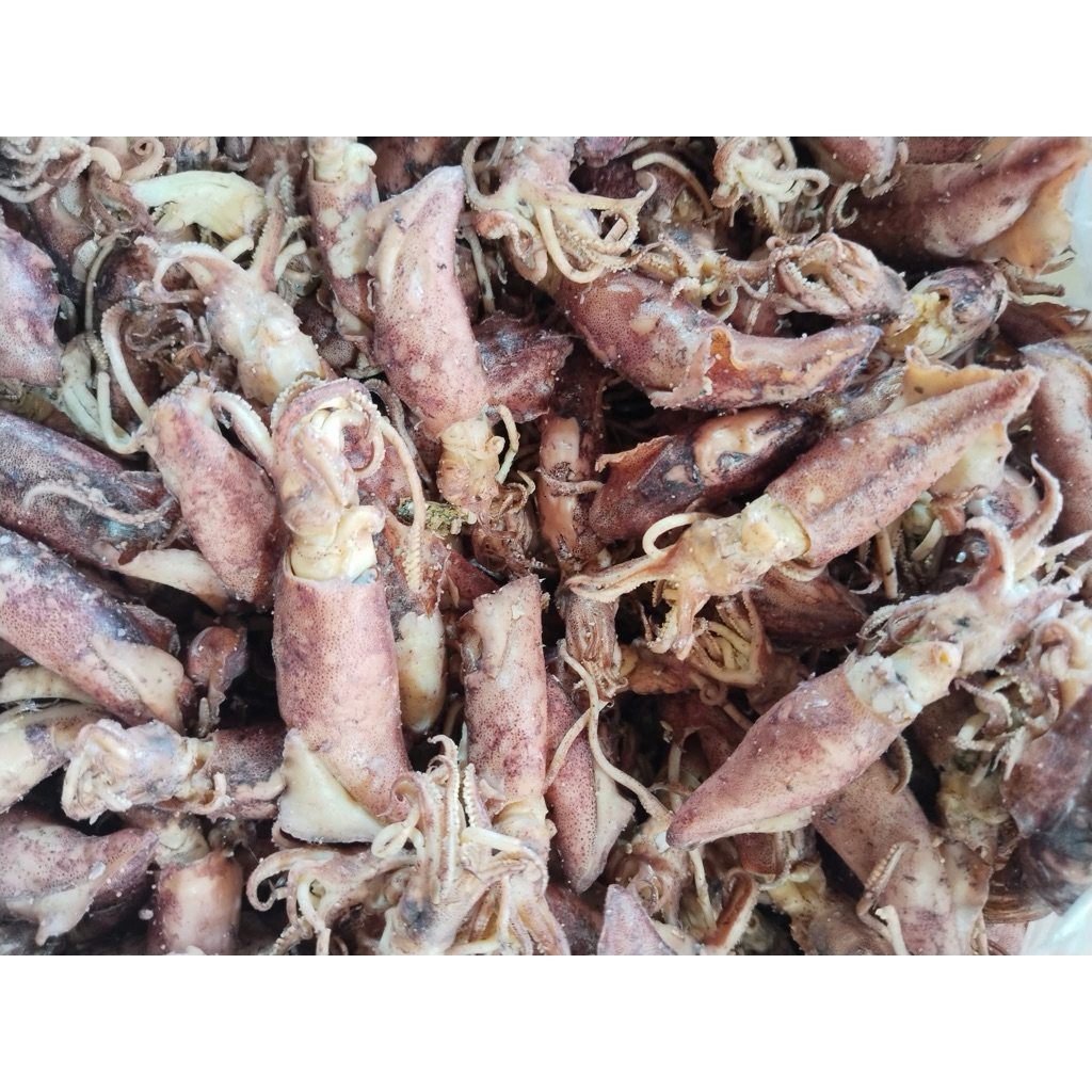 Sotong Kering Tanjung Pinang - Cumi Asin Kering 250gr - Cumi Kering - Cumi Telur Telor