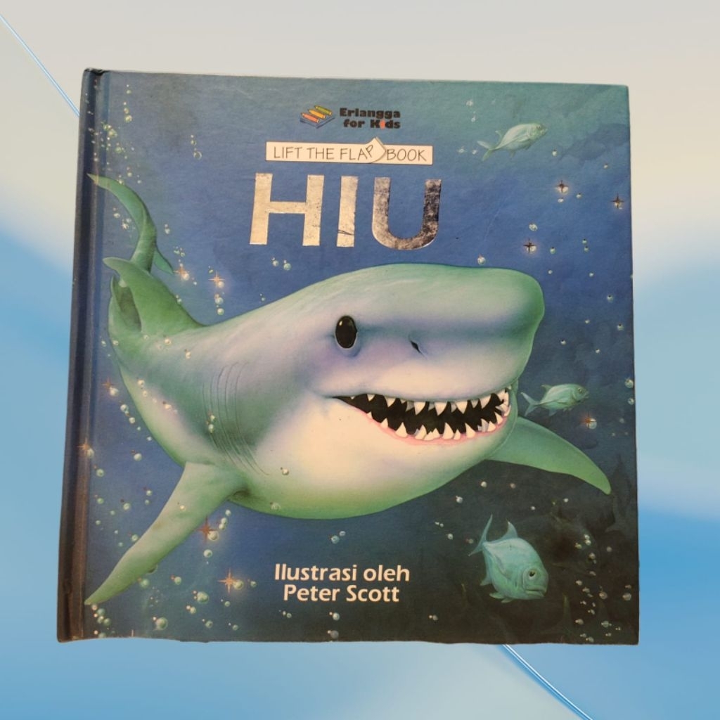 Preloved - Lift The Flap Book - Hiu