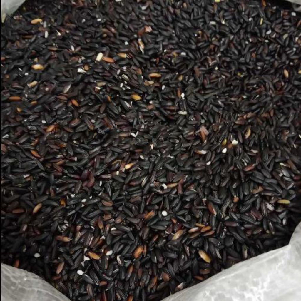 Beras ketan hitam/ketan boyolali 500gr