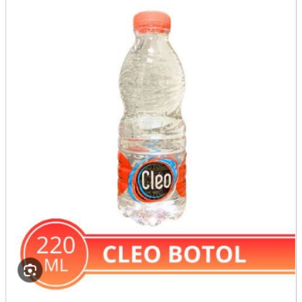 Cleo Air Mineral Botol 220 ml