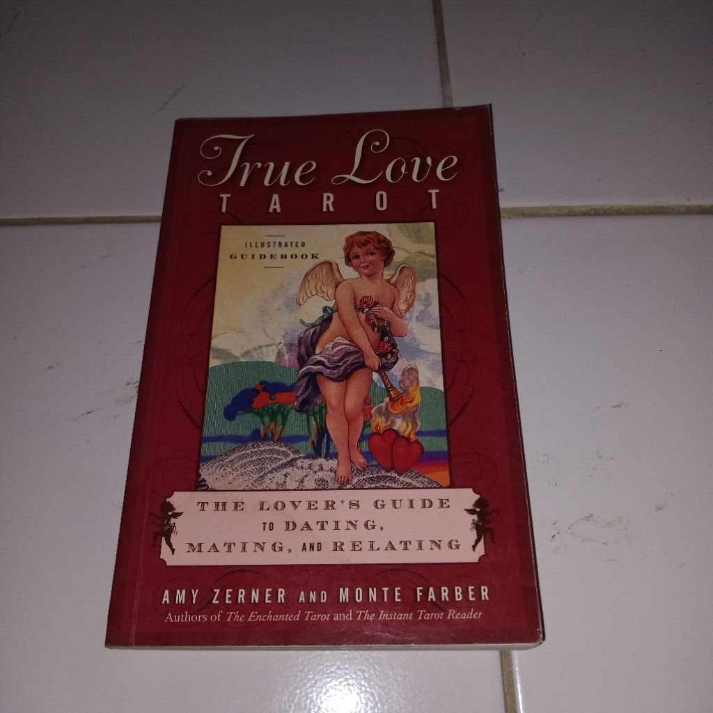 illustrated guide book " true love , tarot "