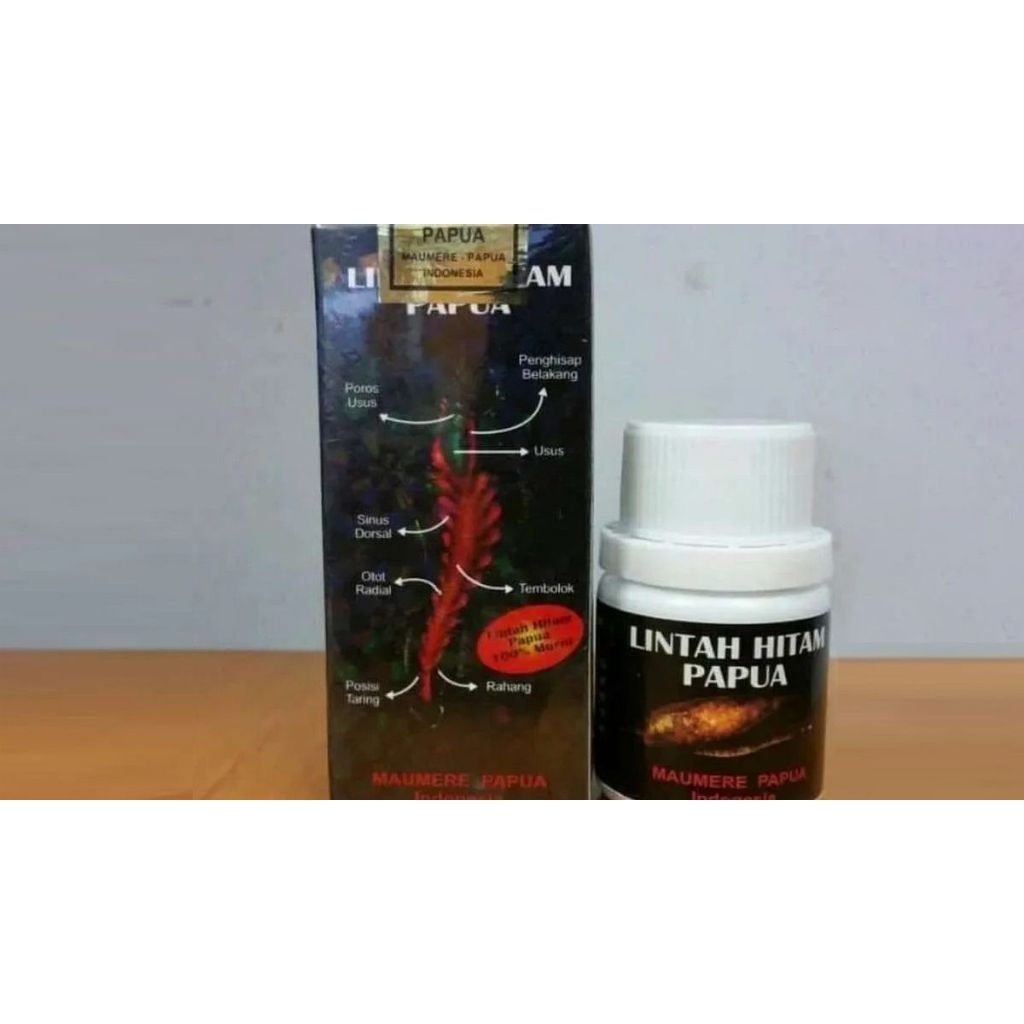 Lintah Papua 100%original