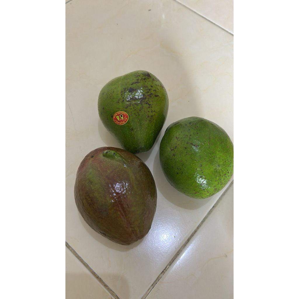Susu SGM Ananda Gain