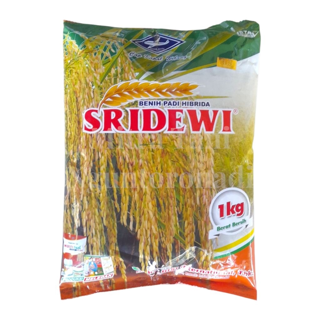 Benih Padi Hibrida Sridewi Cap Kapal Terbang 1Kg
