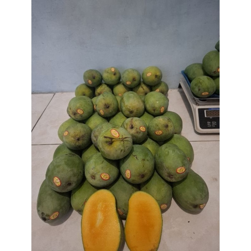 MANGGA ALPUKAT 1KG BALIKPAPAN