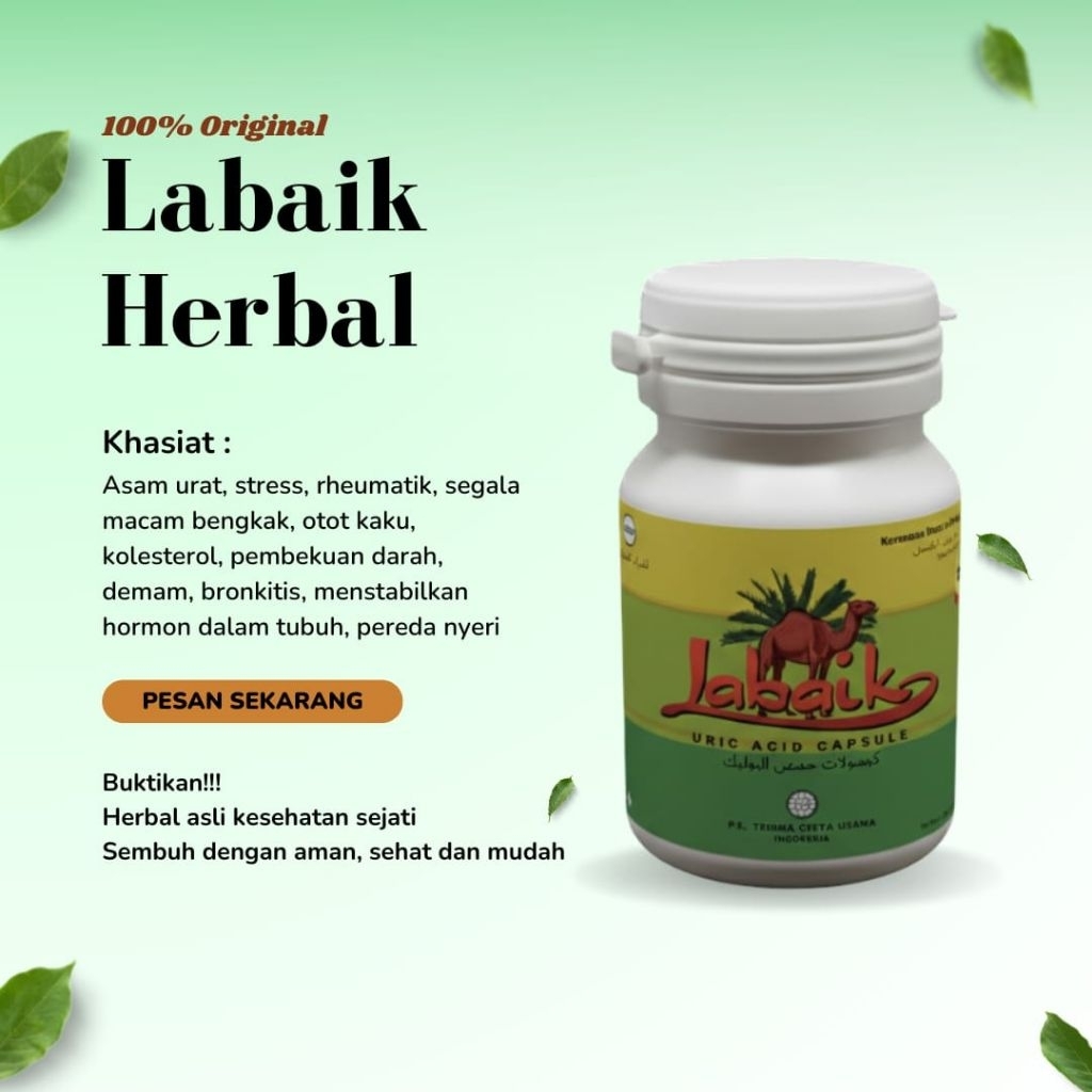 rheumatik segala macam bengkak demam asam urat pegal linu labaik herbal original kemasan botol isi 4
