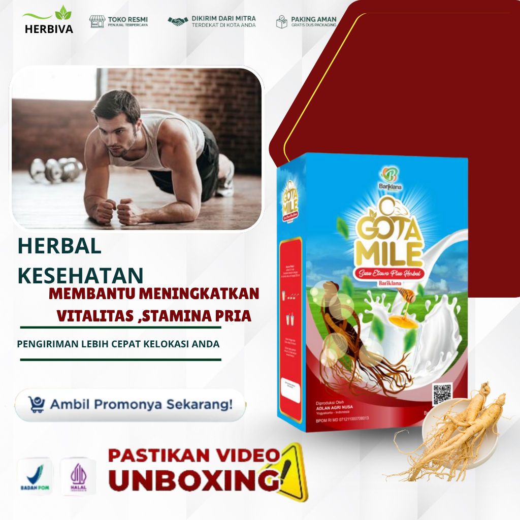 GOTAMILE – Suplemen Khusus Pria untuk Vitalitas, Stamina, dan Kenyamanan Testis,Tidak mudah Lelah,St