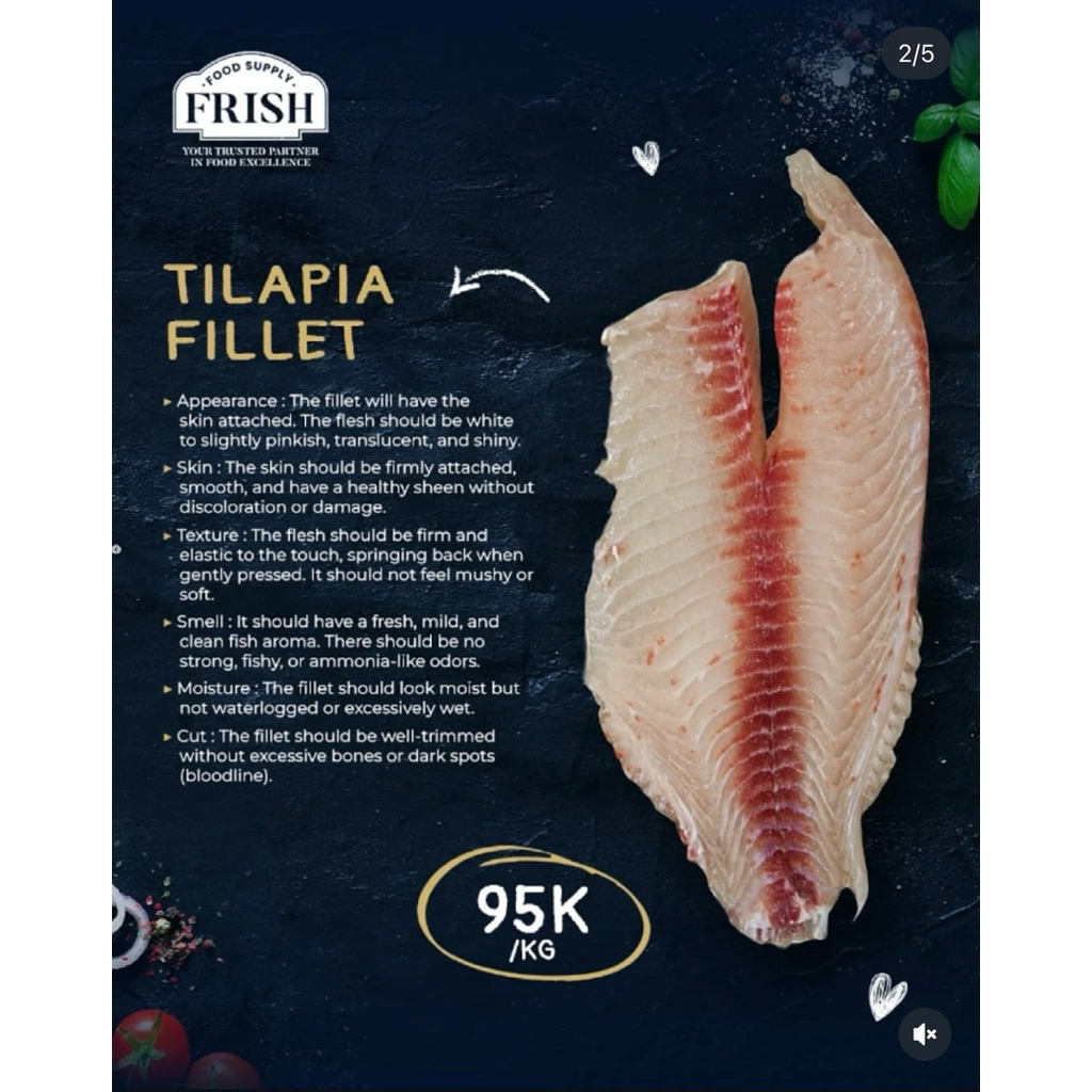 Ikan Tilapia Fillet