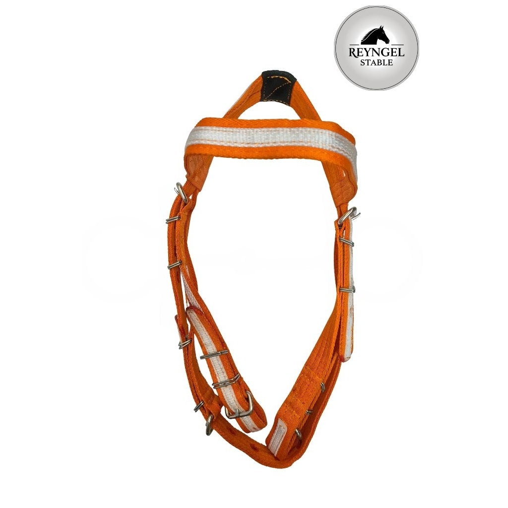 tali kuda | bridle kuda | MO