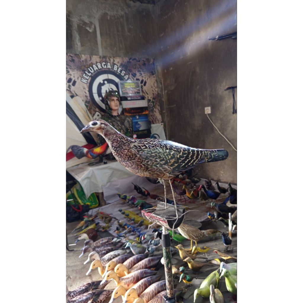 Patung betina ayam hutan cawehwer jontrot ayamhutan hijau dekorasi taman ayam hutan mirip aslintahan