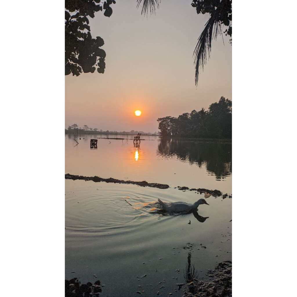 Jamu Rempah Kapsul HELBEH Original100%