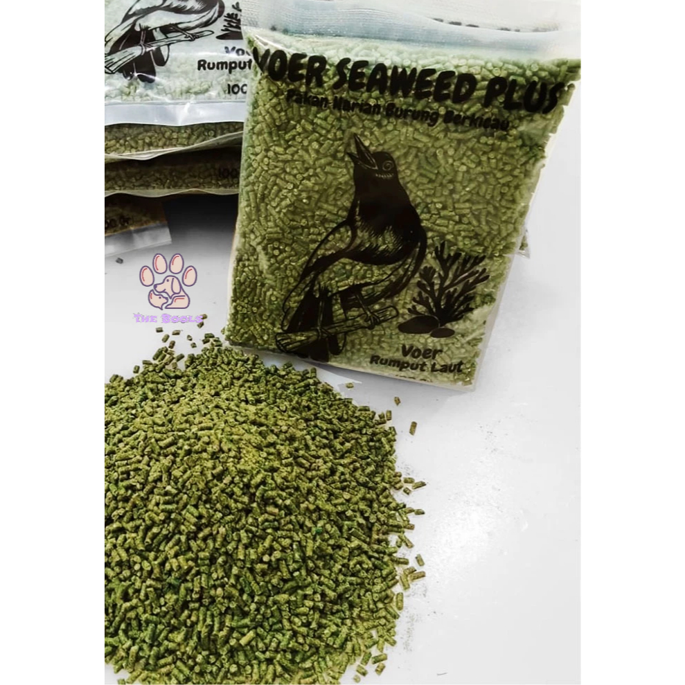 (The Bool's) Voer Seaweed Plus Metabolis Pur Kasar Rumput Laut Hijau Pakan Makanan Burung Murai Batu