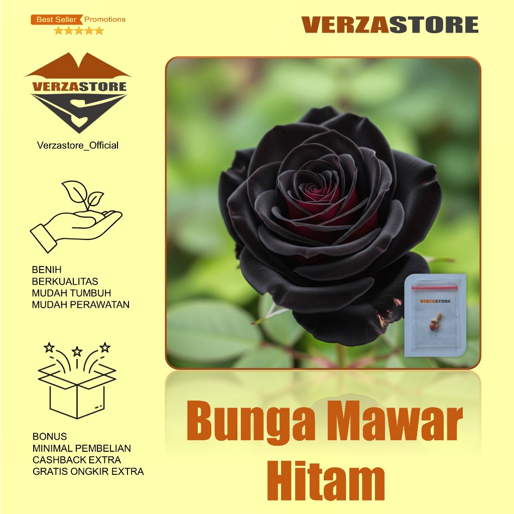 Biji Benih Bunga Mawar Hitam / 2 Biji