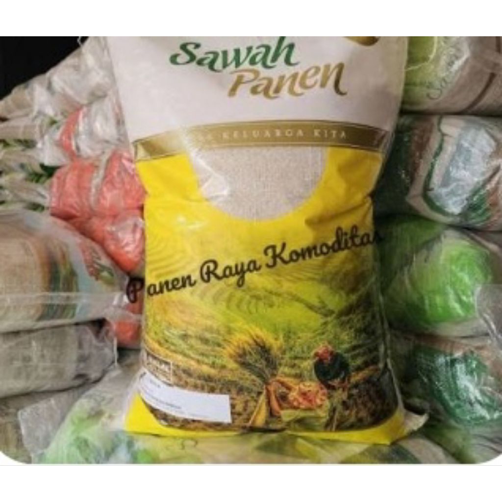 beras sawah panen dualima