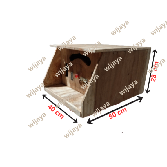 gupon merpati/burung dara model lancip besar