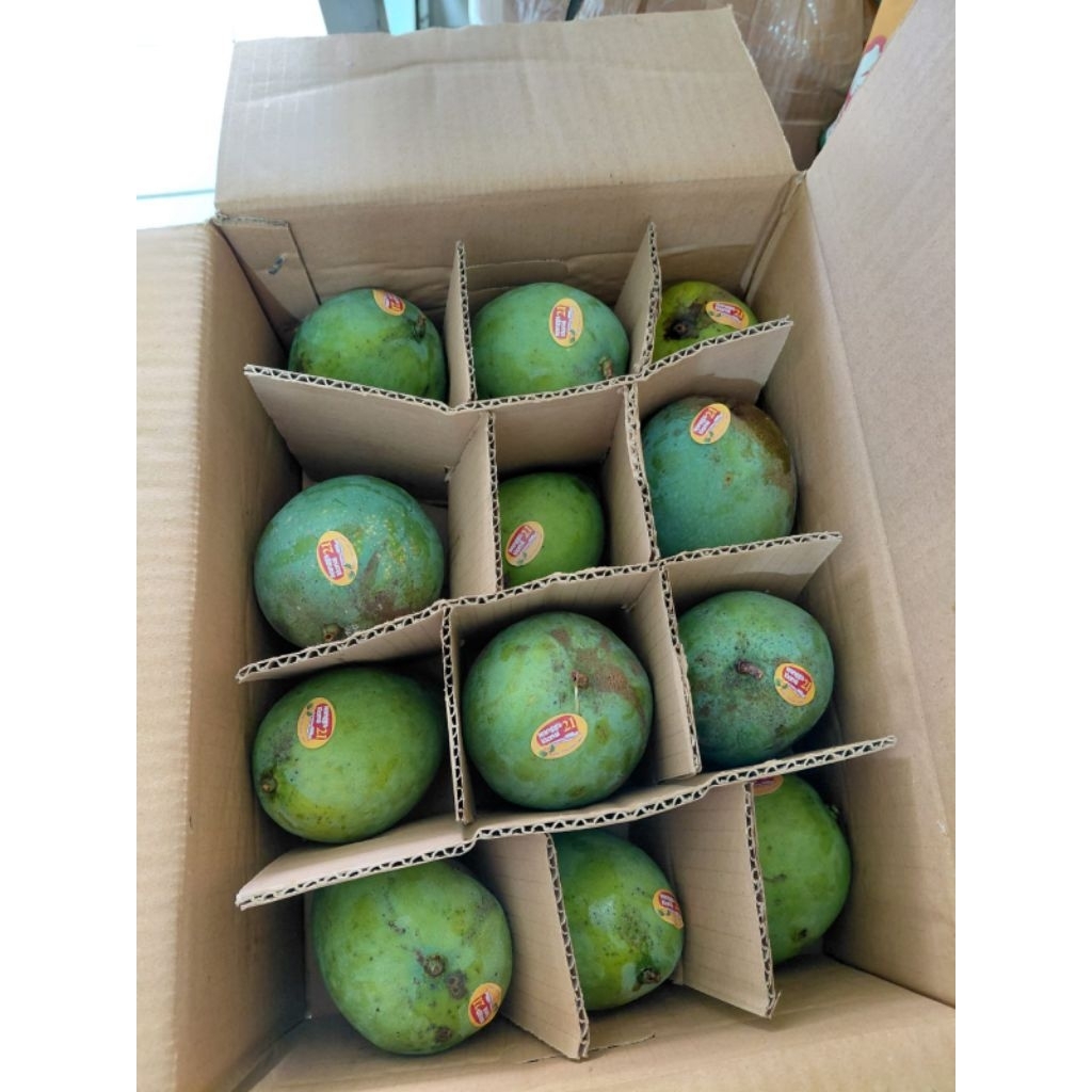 mangga alpukat (1 kg)