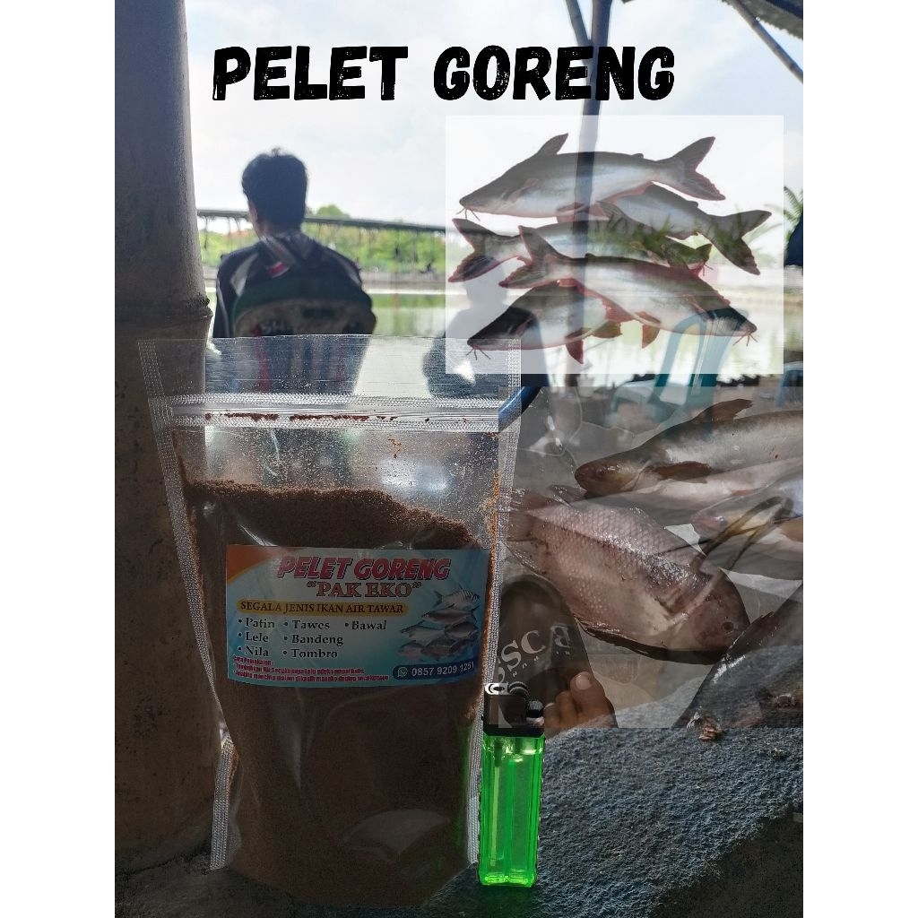 PELET UMPAN IKAN PATIN