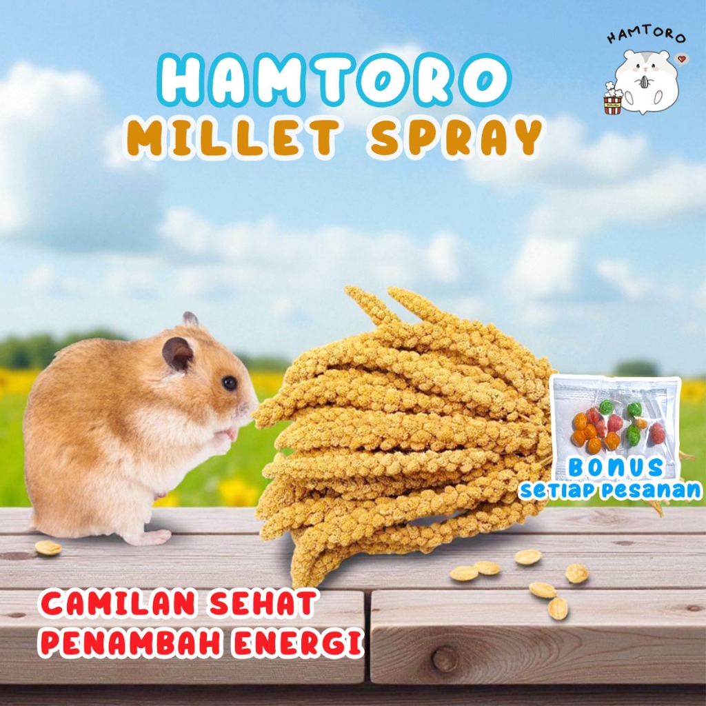 Hamtoro Millet/milet Spray Snack Hamster/Burung Jewawut Tangkai