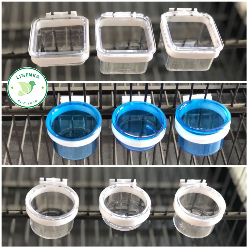 CEPUK MAXGLO ISI 3 TEMPAT PAKAN MINUM BURUNG CEPUK KOTAK MAXGLO