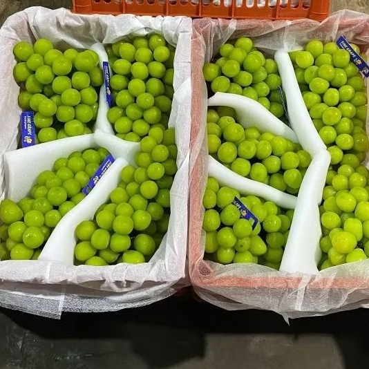 ANGGUR SHINE MUSCAT CURAH 1 KERANJANG 5kg