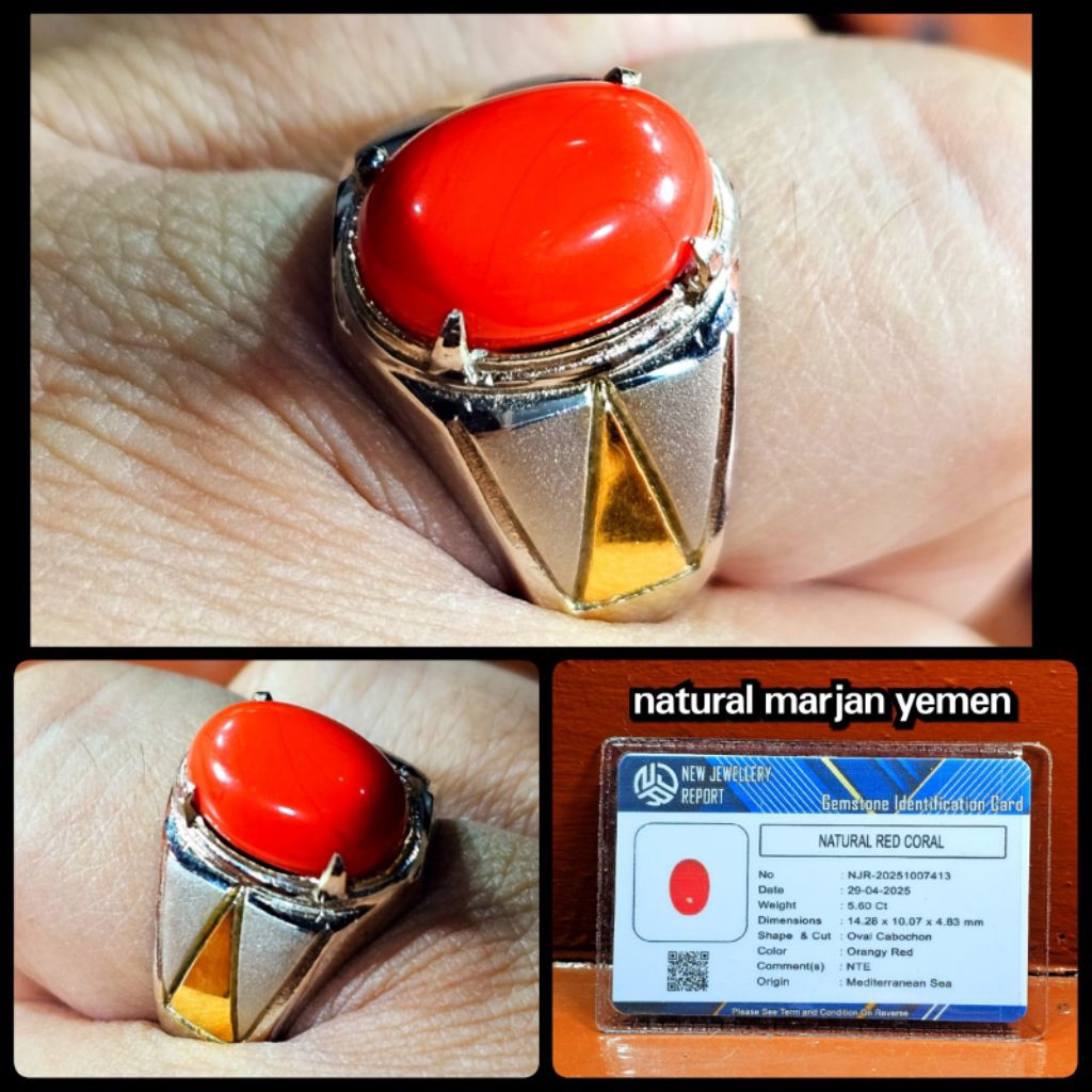 Marjan merah asli coral laut merah kelas kontes bos