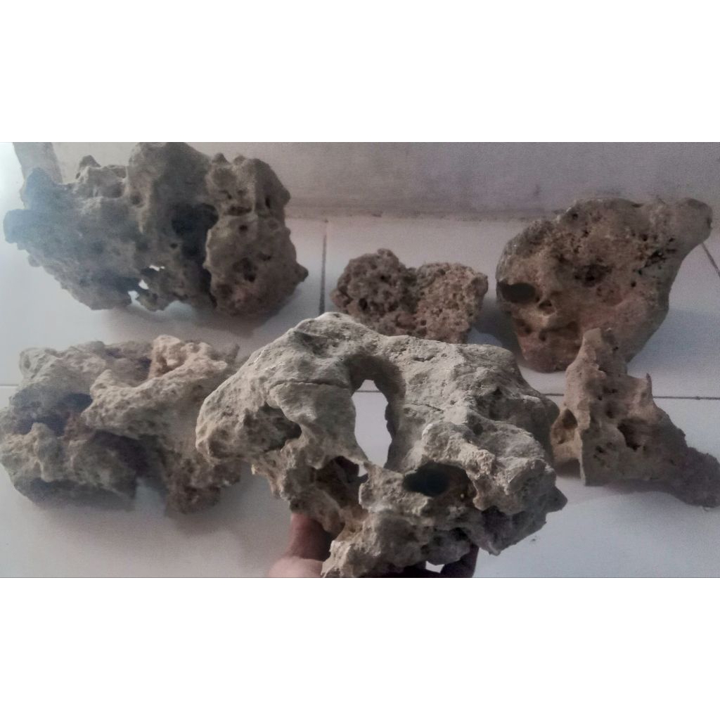 5kg batu karang gunung aquascape bonsai batu taman