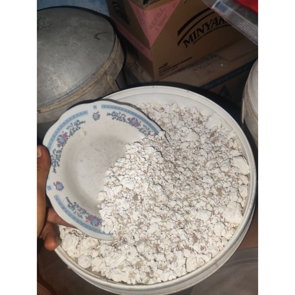 PATI GARUT KERING 100%ORIGINAL