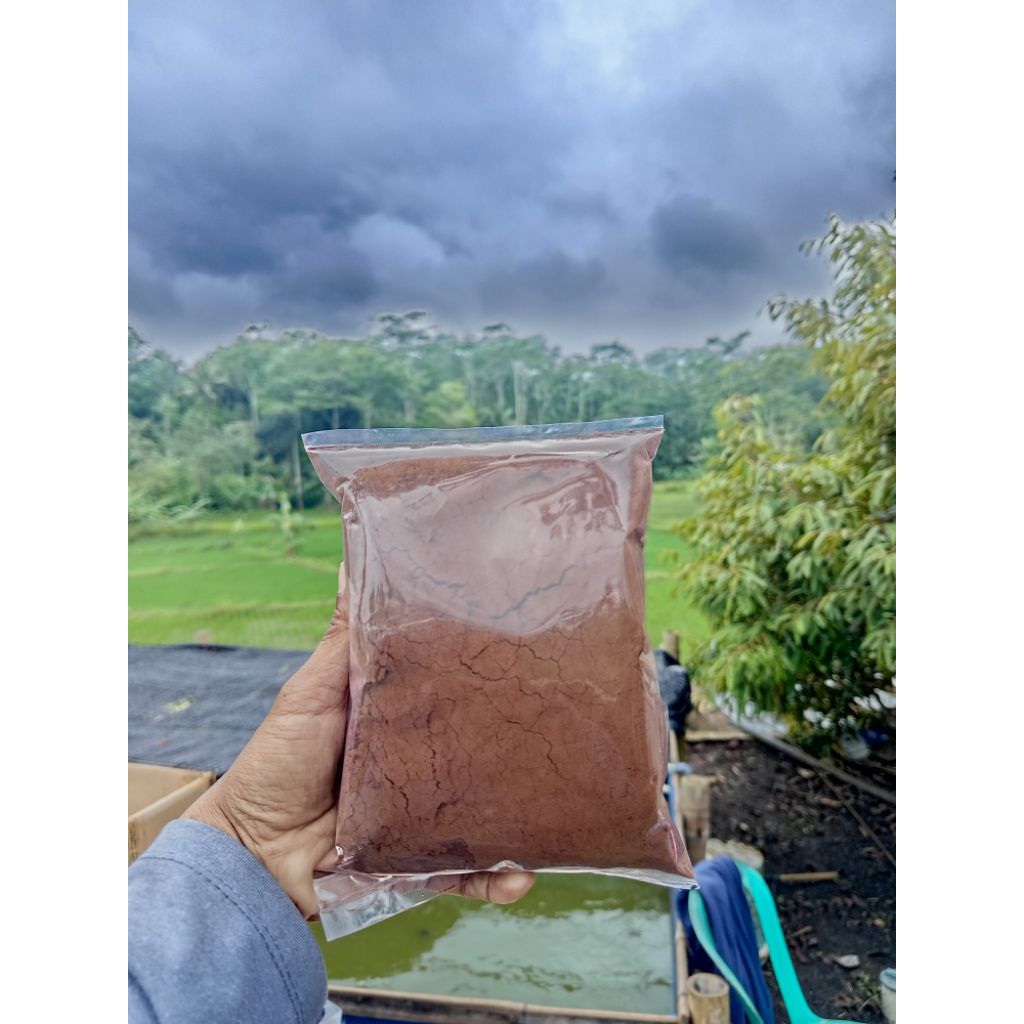 Kopi Robusta Jantan