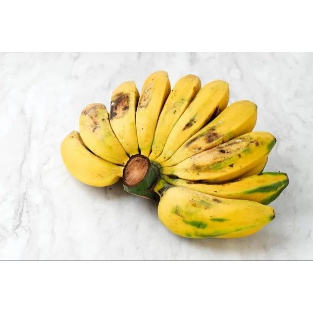 PISANG KEPOK MERAH / BANANA / FRESH FRUIT / FRUIT / BUAH BUAHAN SEGAR ONLINE SURABAYA