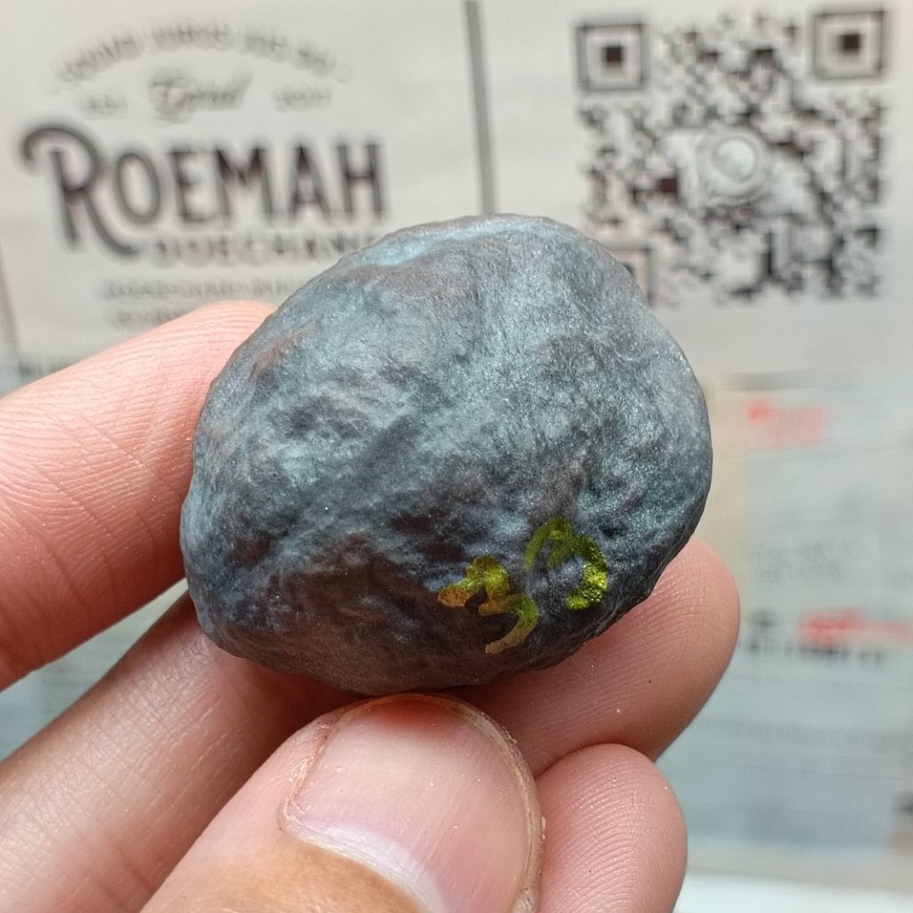 Muncang Adu Pait JR kode 33