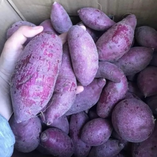 UBI UNGU 1KG/UBI UNGU MURAH/UBI UNGU KUKUS/UBI KUKUS/UBI MATANG/CEMILAN SEHAT/UBI KUPAS