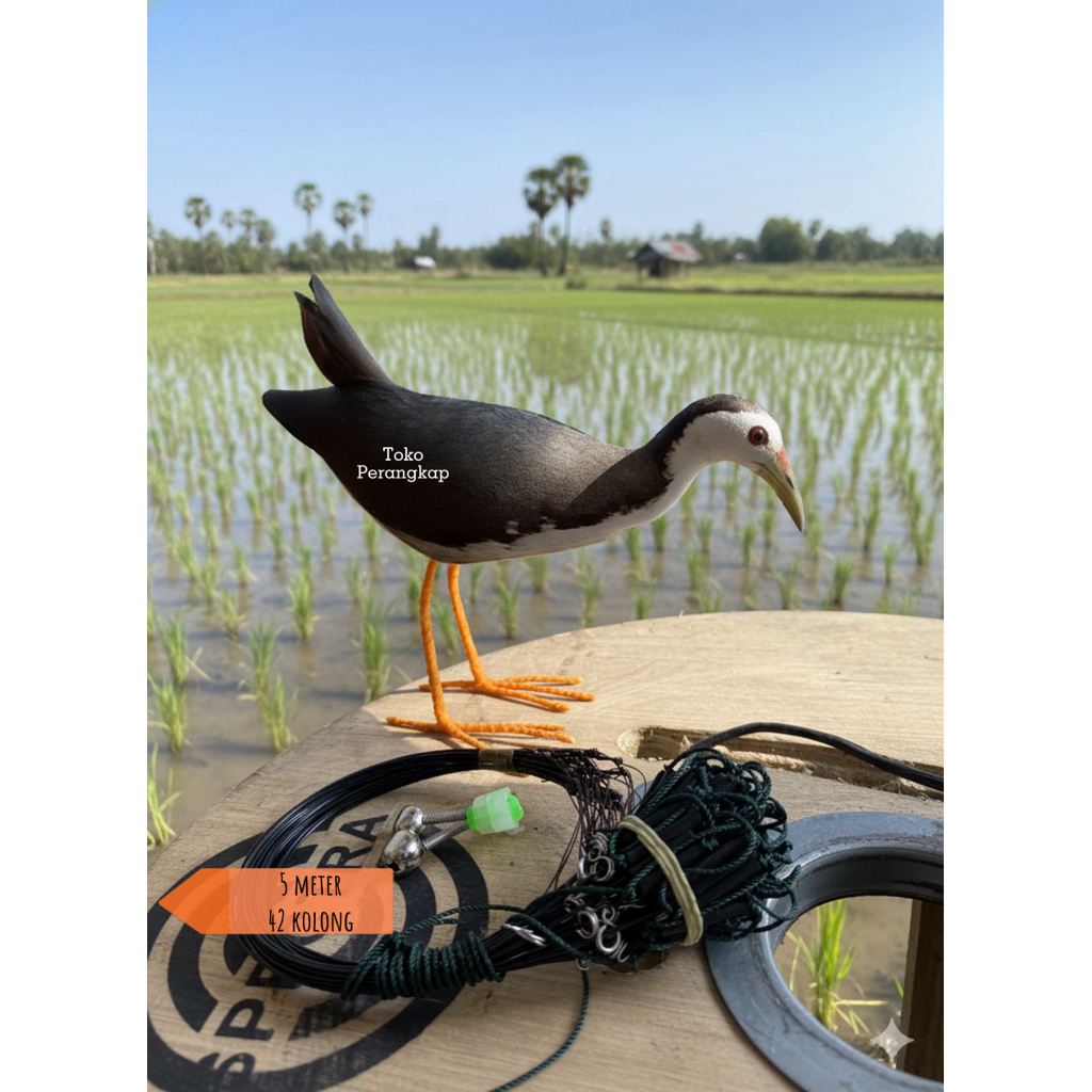 Patung ruak ruak & tali ikat jebakan